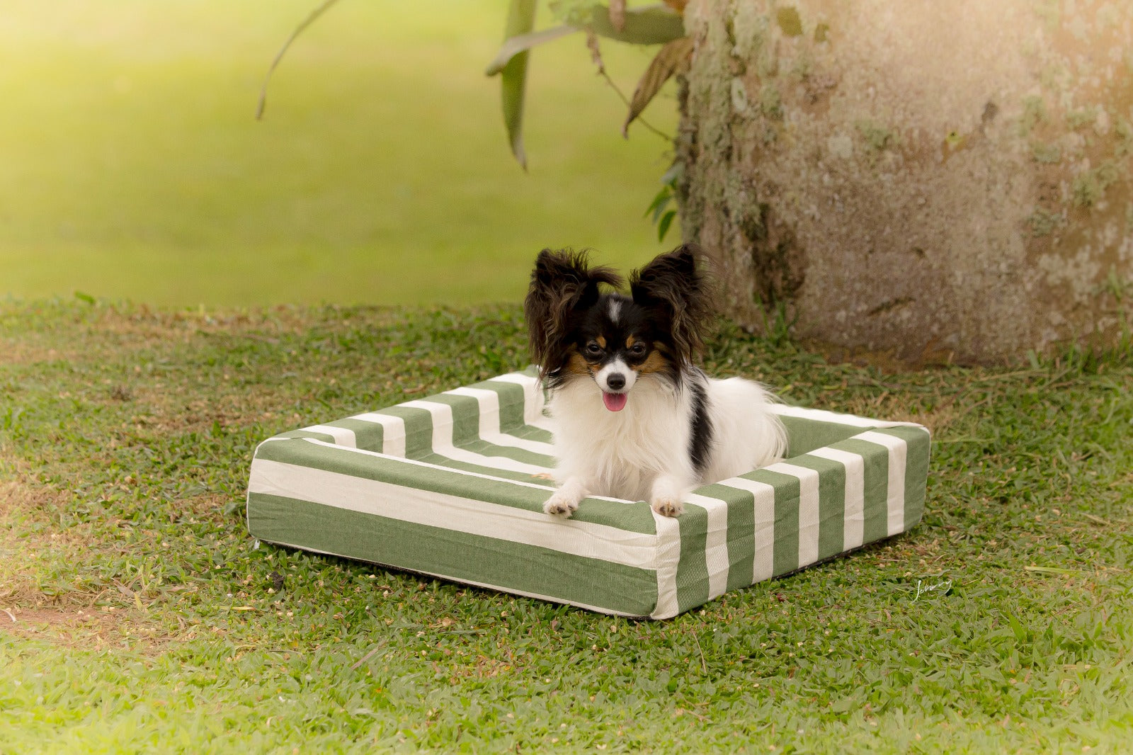 Cama Relax Área Externa