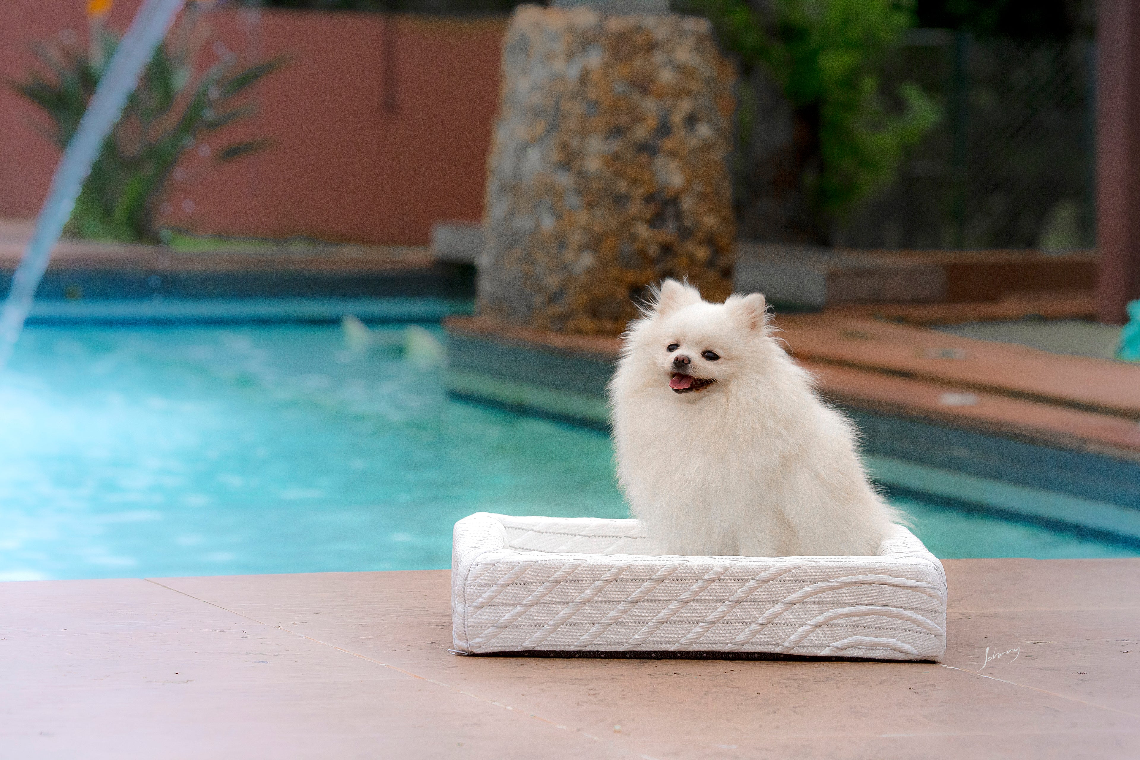 Cama Relax Namaspet Ice Grafeno