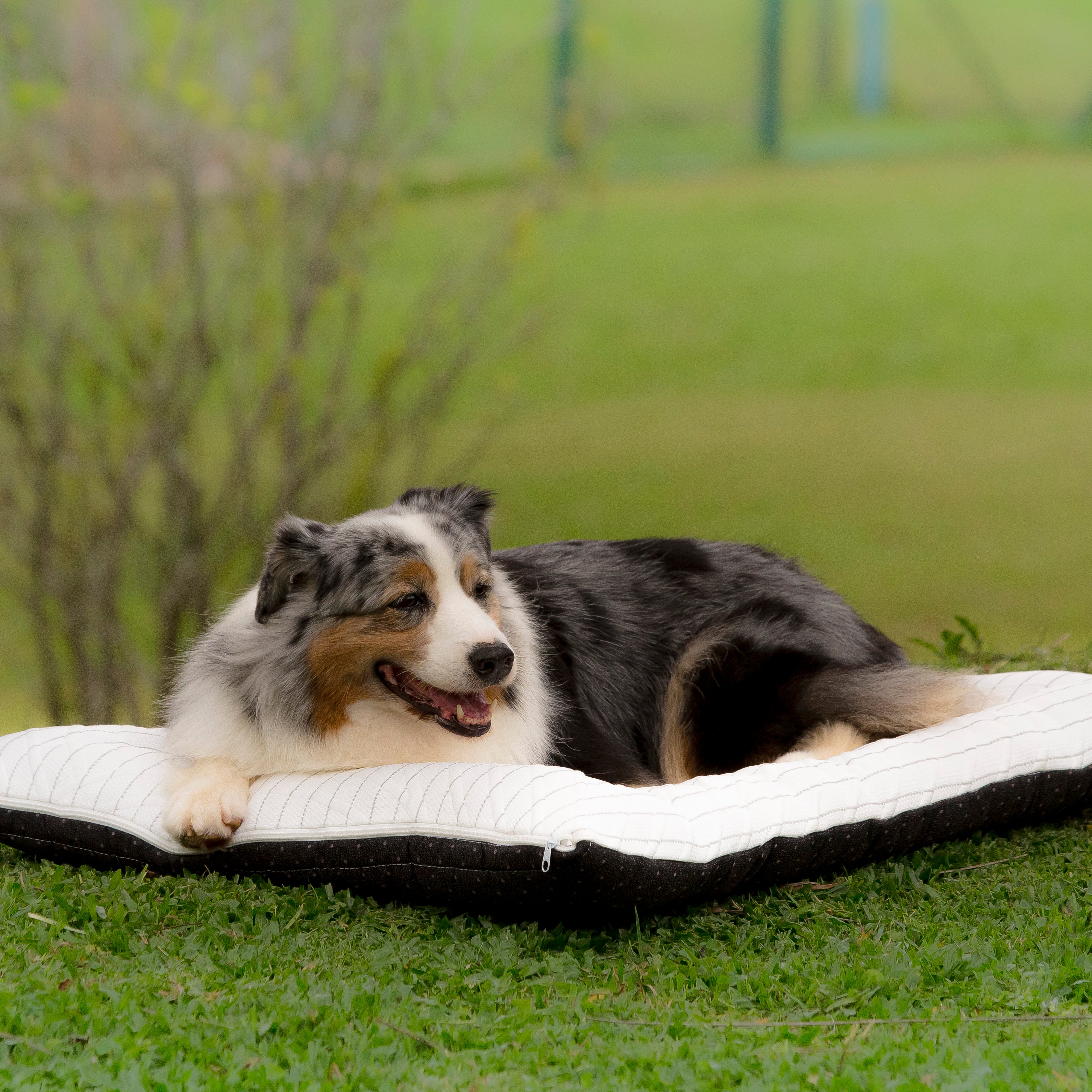 Cama Travel Namaspet Ice Grafeno